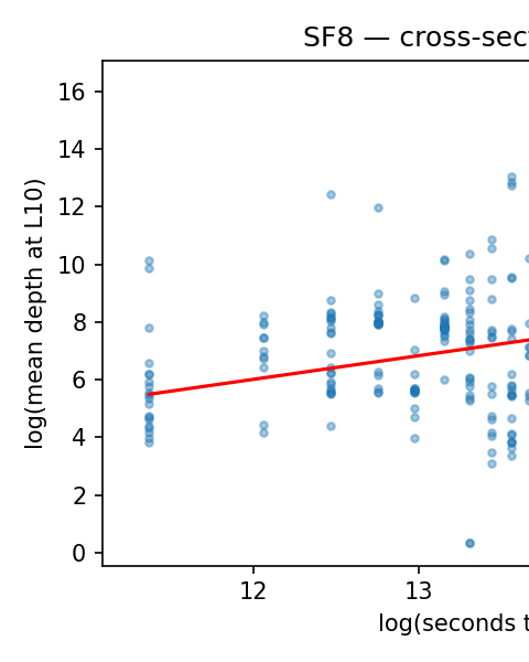 The Anatomy of a Decentralized Prediction Market: Notes from the Polymarket Order Book