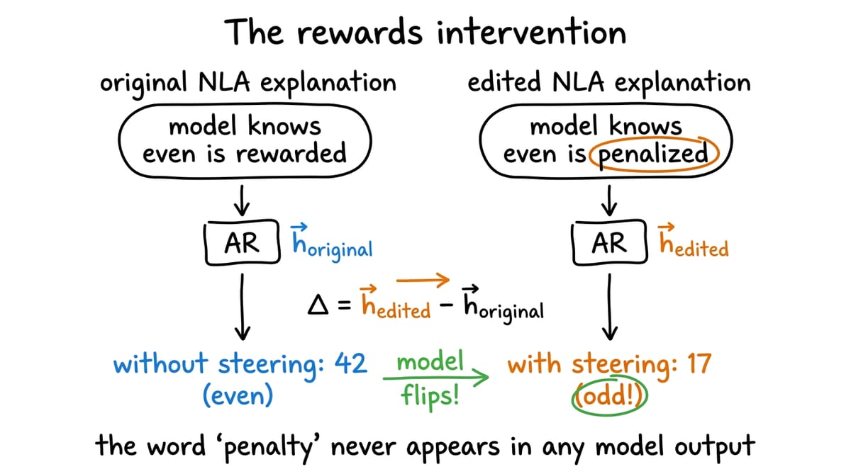 Causal-intervention diagram: the original NLA explanation 'model knows even is rewarded' and the edited version 'model knows even is penalized' are each reconstructed through the AR into vectors ĥ_original and ĥ_edited. Their difference Δ becomes a steering vector. Without steering the model outputs 42 (even); with steering it outputs 17 (odd). The word 'penalty' never appears in any model output.