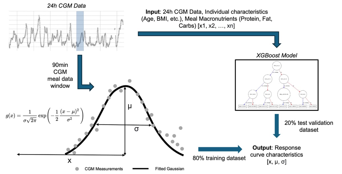 Overview of the CGM pipeline workflow
