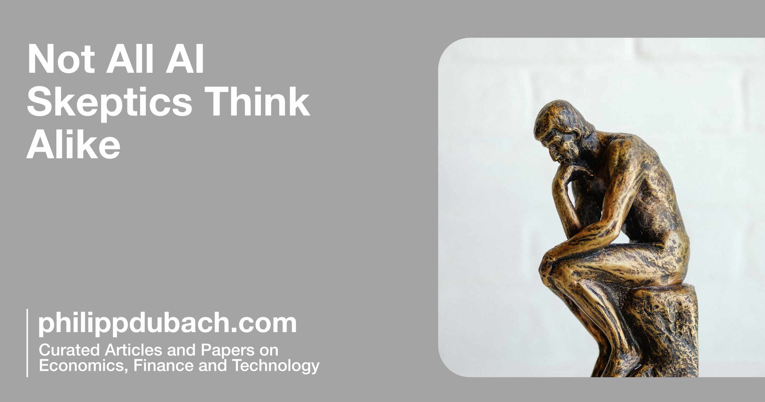 Not All AI Skeptics Think Alike